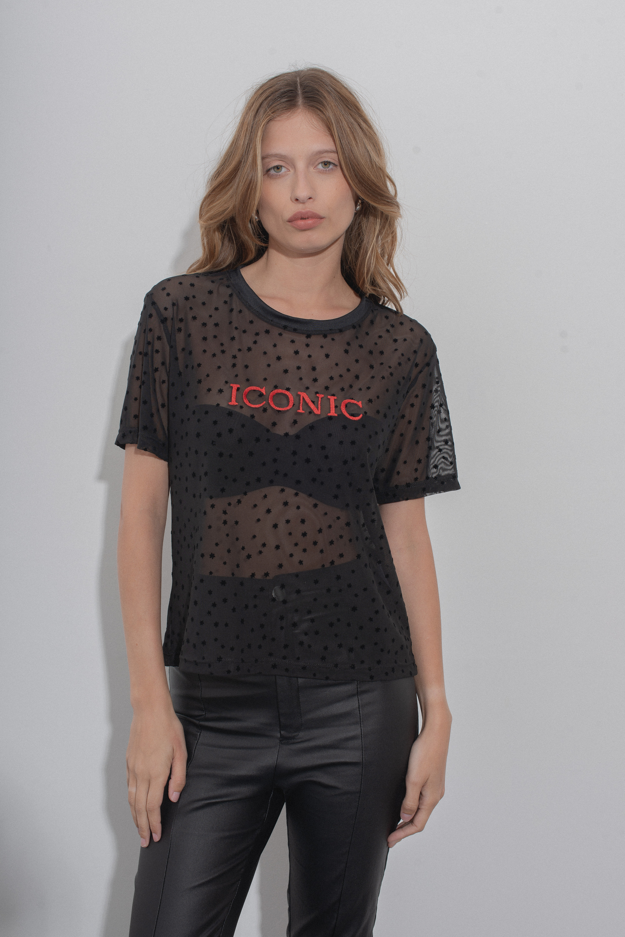 Remera Iconic
