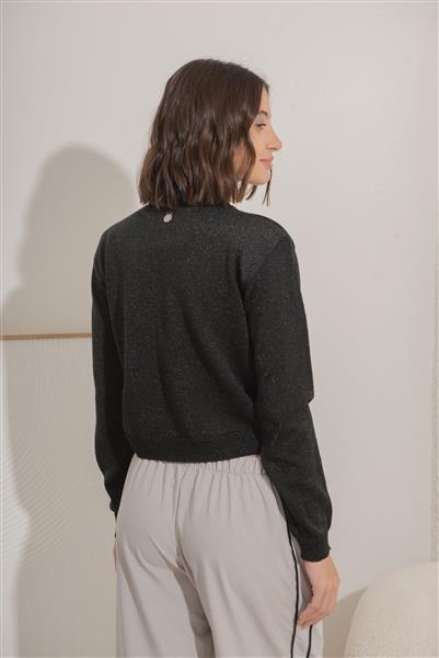 Sweater Sam